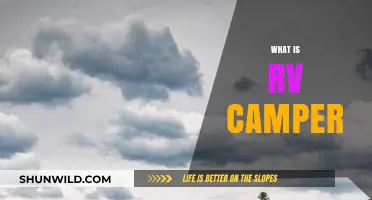 Exploring the Great Outdoors: A Beginner's Guide to RV Campers