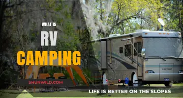Exploring the Great Outdoors: A Beginner's Guide to RV Camping