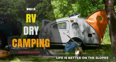 Exploring the Great Outdoors: A Beginner's Guide to RV Dry Camping