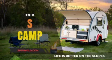 Exploring the Concept of S-Camp: A Comprehensive Guide