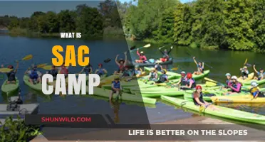 Exploring the Thrills and Skills of SAC Camp Adventures
