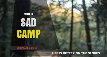Exploring the Melancholy of Sad Camp: A Journey Through Sorrow