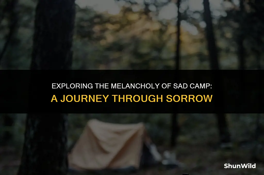 what is sad camp