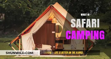 Exploring the Wild: A Beginner's Guide to Safari Camping Adventures