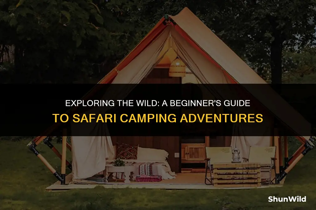what is safari camping
