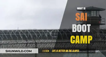 SAI Boot Camp Explained: Unlocking Potential Through Intensive Training