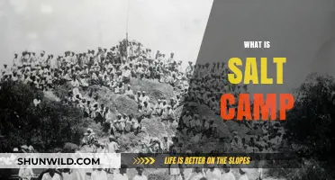 Exploring the Enigmatic World of Salt Camps: A Journey into History