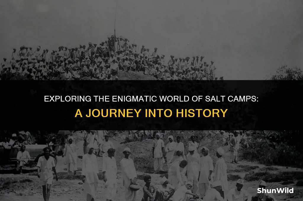 what is salt camp