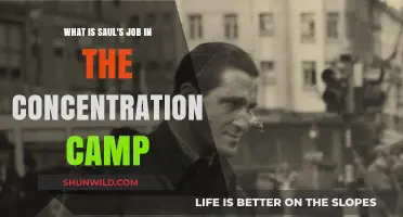 Saul's Role in the Concentration Camp: A Grim Responsibility