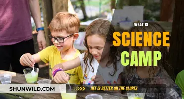 Exploring the Wonders: What is Science Camp?