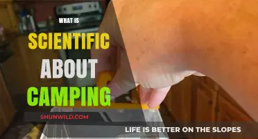 Exploring the Science Behind Camping: A Journey into Nature's Laboratory
