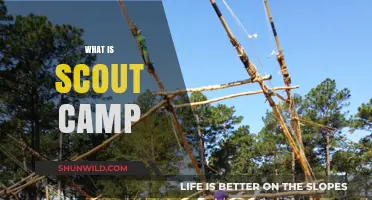 Exploring the Great Outdoors: A Guide to Scout Camps