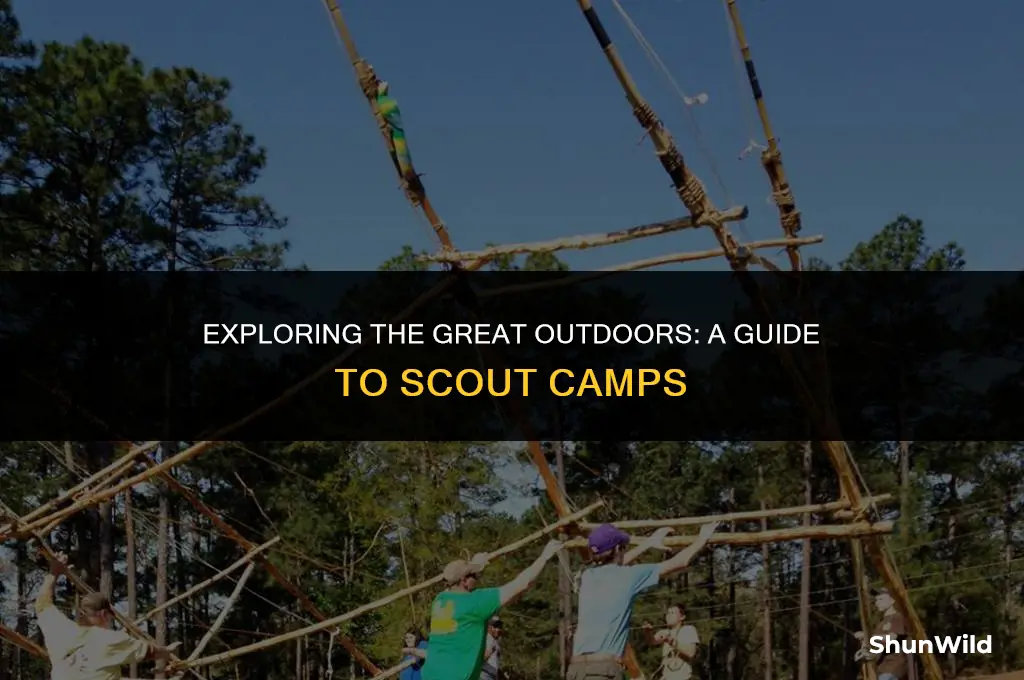 what is scout camp