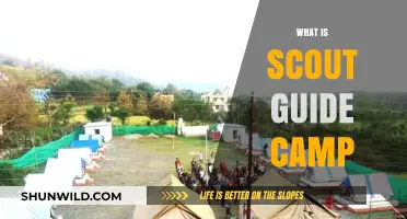 Exploring the Great Outdoors: A Guide to Scout Camps