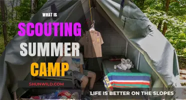 Exploring the Great Outdoors: A Guide to Scouting Summer Camps