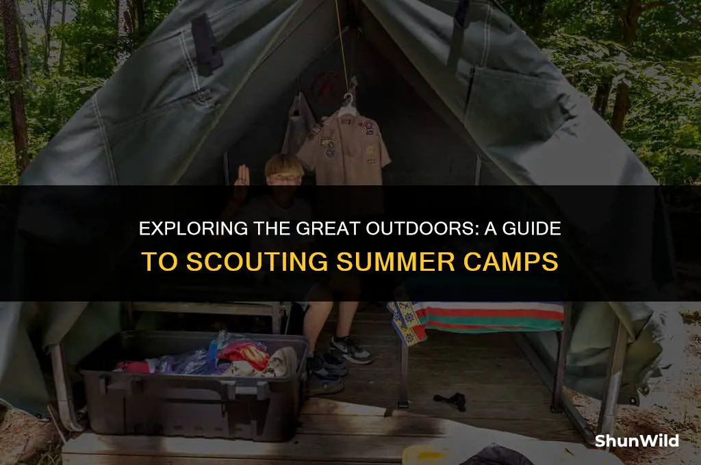 what is scouting summer camp