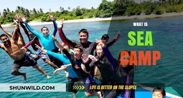 Exploring the Wonders of Sea Camp: A Coastal Adventure Awaits!