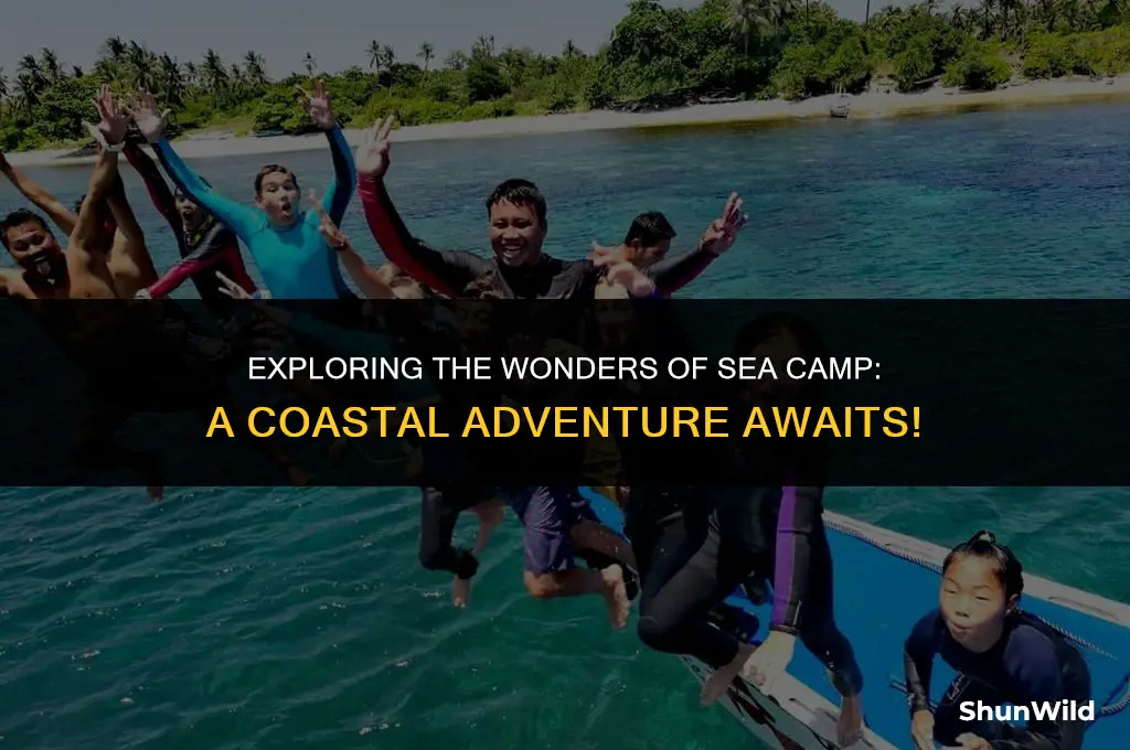 what is sea camp