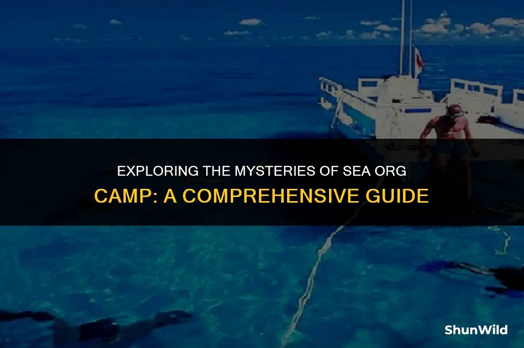 what is sea org camp