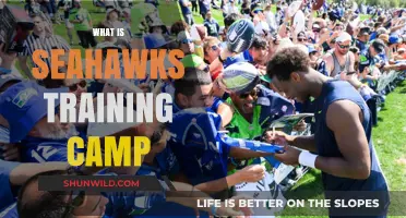 Exploring the Dynamics of Seahawks Training Camp: A Comprehensive Guide