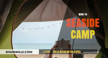 Discover the Joys of Seaside Camping: A Coastal Adventure Awaits!