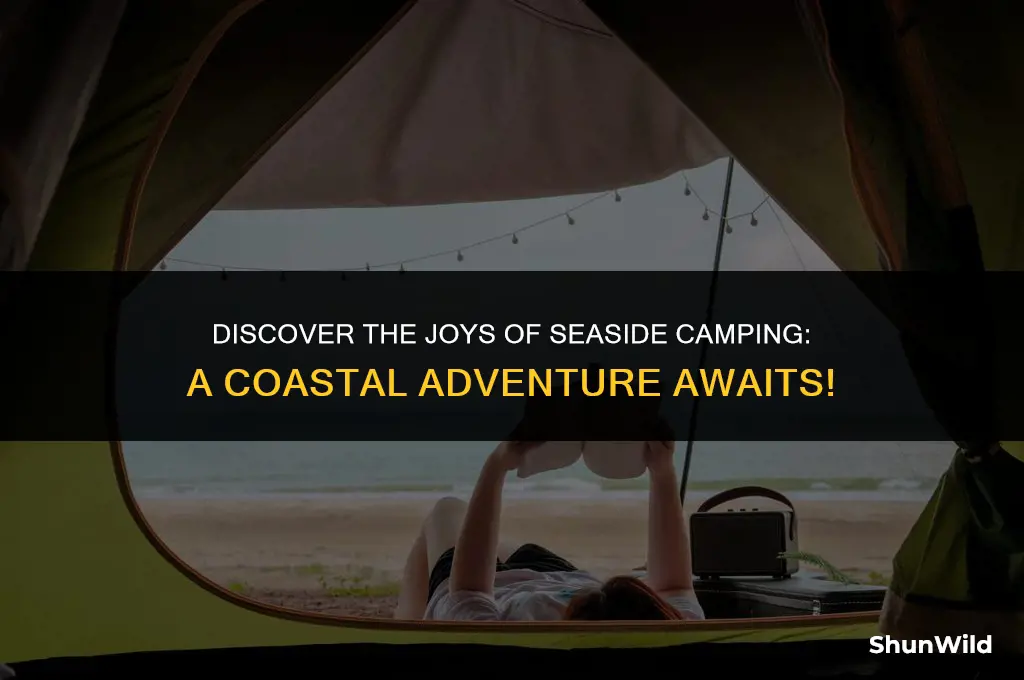 what is seaside camp