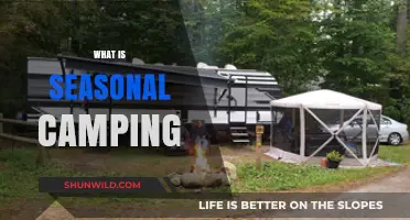 Embracing Nature's Rhythms: A Guide to Seasonal Camping Adventures