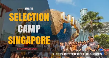 Unlocking Opportunities: A Guide to Selection Camps in Singapore