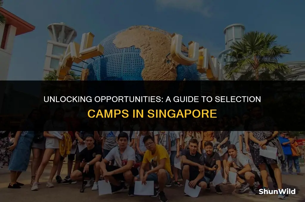 what is selection camp singapore