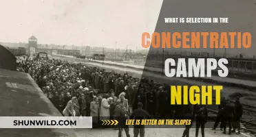 Selection in Concentration Camps: Understanding the Horrors of Night