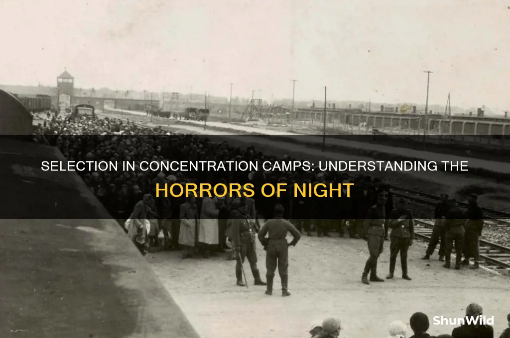 what is selection in the concentration camps night