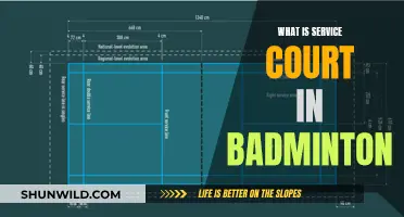 Service Court: Understanding Badminton's Basics