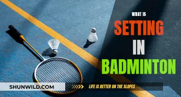 Badminton Setting: Master the Art of Deception