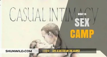 Exploring Intimacy: What Is a Sex Camp and Is It Right for You?