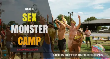 Unveiling the Myths: Inside the World of Adult Summer Camps