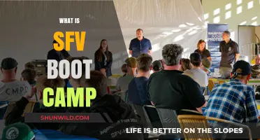 Understanding SFV Boot Camp: A Comprehensive Guide for Beginners