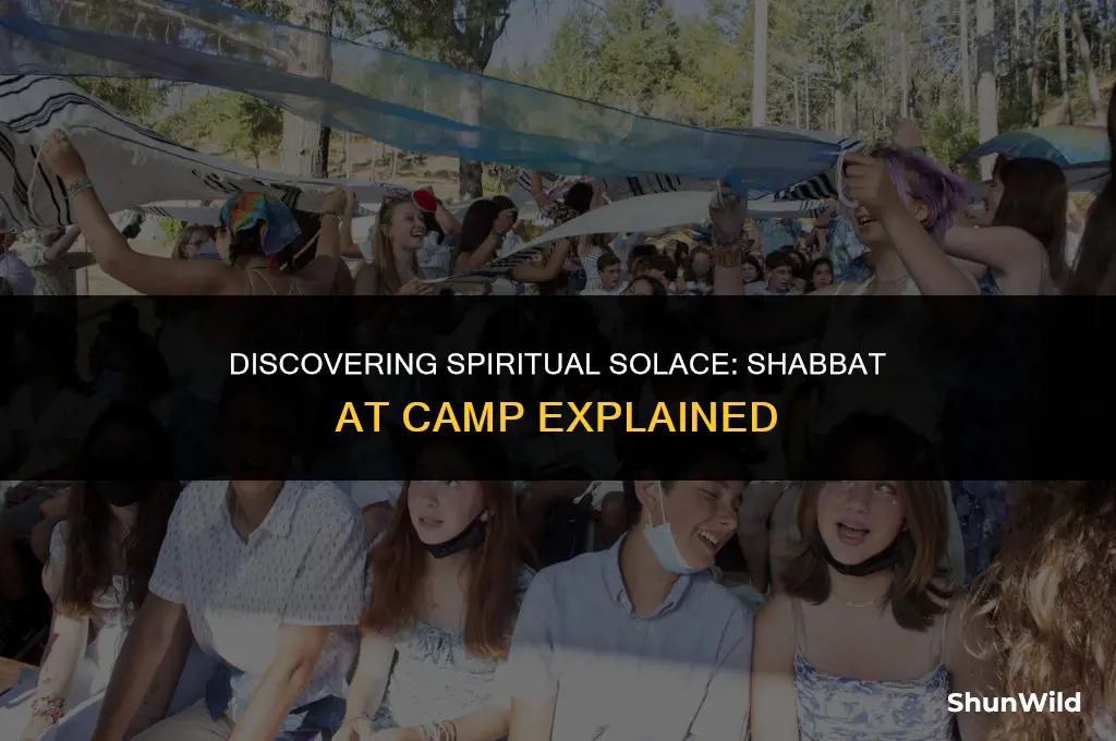 what is shabbat at camp