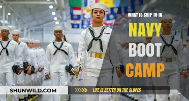 Understanding Ship 10: A Key Component of Navy Boot Camp Training