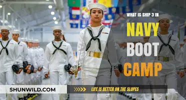 Understanding Ship 3: Navy Boot Camp's Unique Training Division
