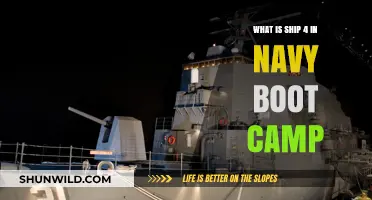 Understanding Ship 4: Navy Boot Camp's Unique Training Division