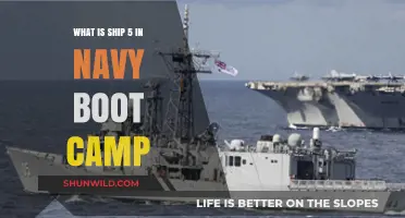 Understanding Ship 05: Navy Boot Camp's Unique Training Division