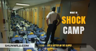 Unveiling the Truth: Inside the Controversial Shock Camp