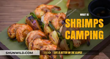 Exploring the Quirky World of Shrimp Camping: A Unique Adventure
