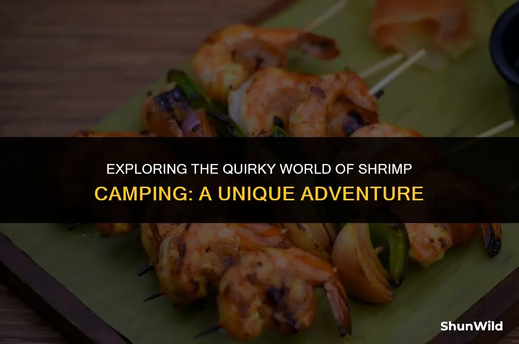 what is shrimps camping