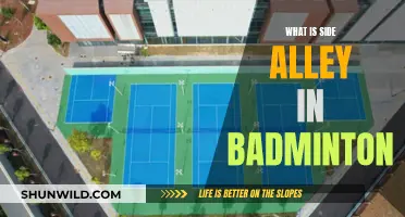 Badminton Side Alleys: Strategic Areas for Winning Shots