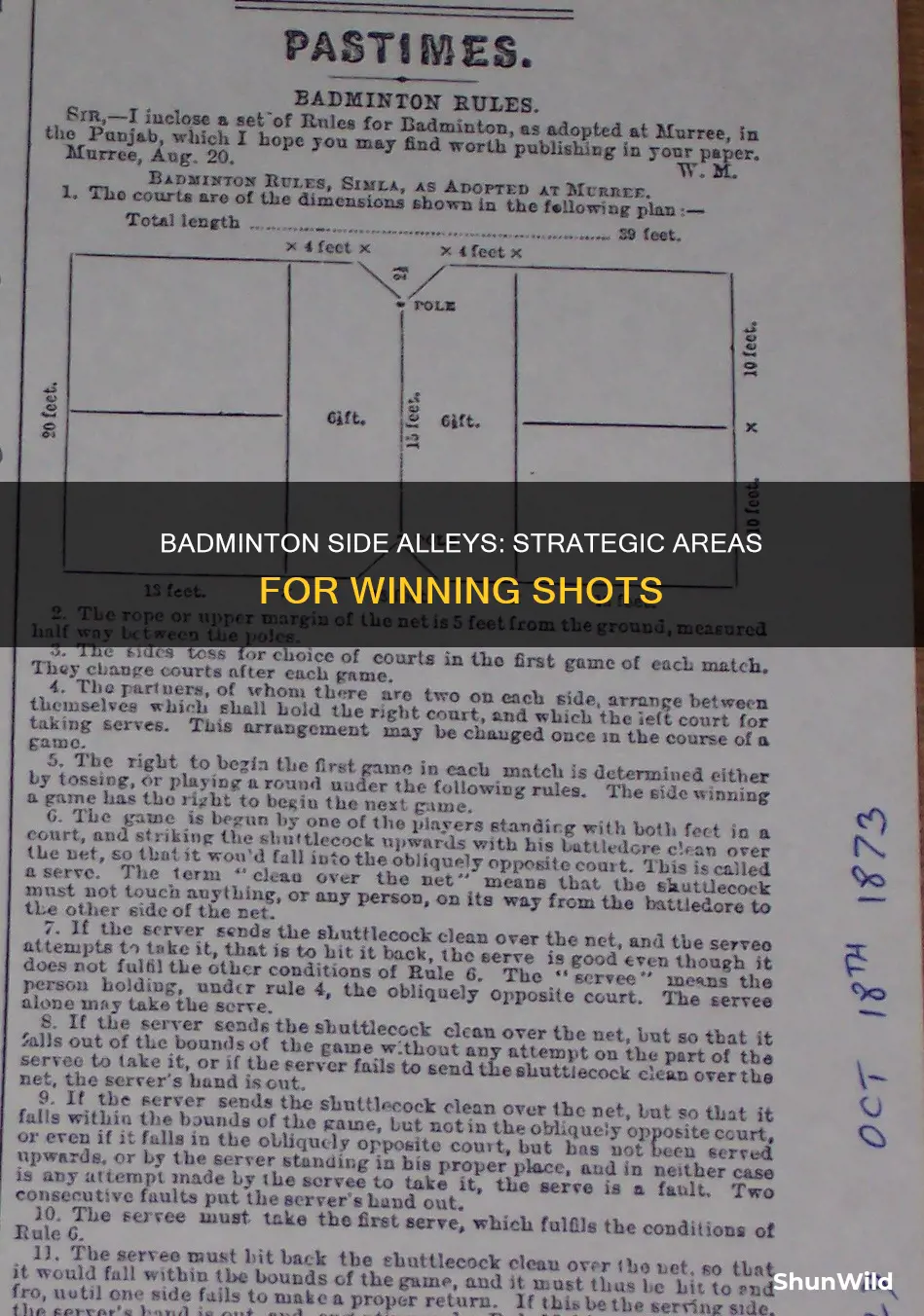 what is side alley in badminton