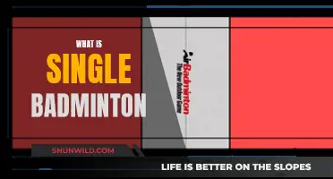 Badminton Singles: One Player, Many Strategies