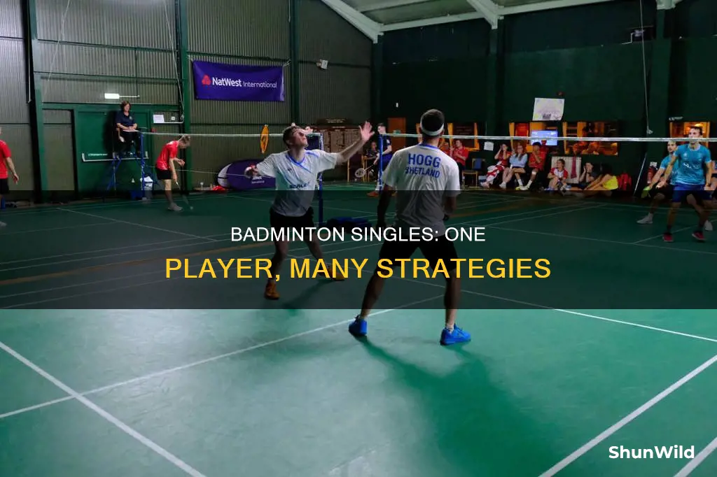 what is single badminton