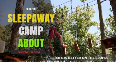Unveiling the Magic: A Comprehensive Guide to Sleepaway Camps