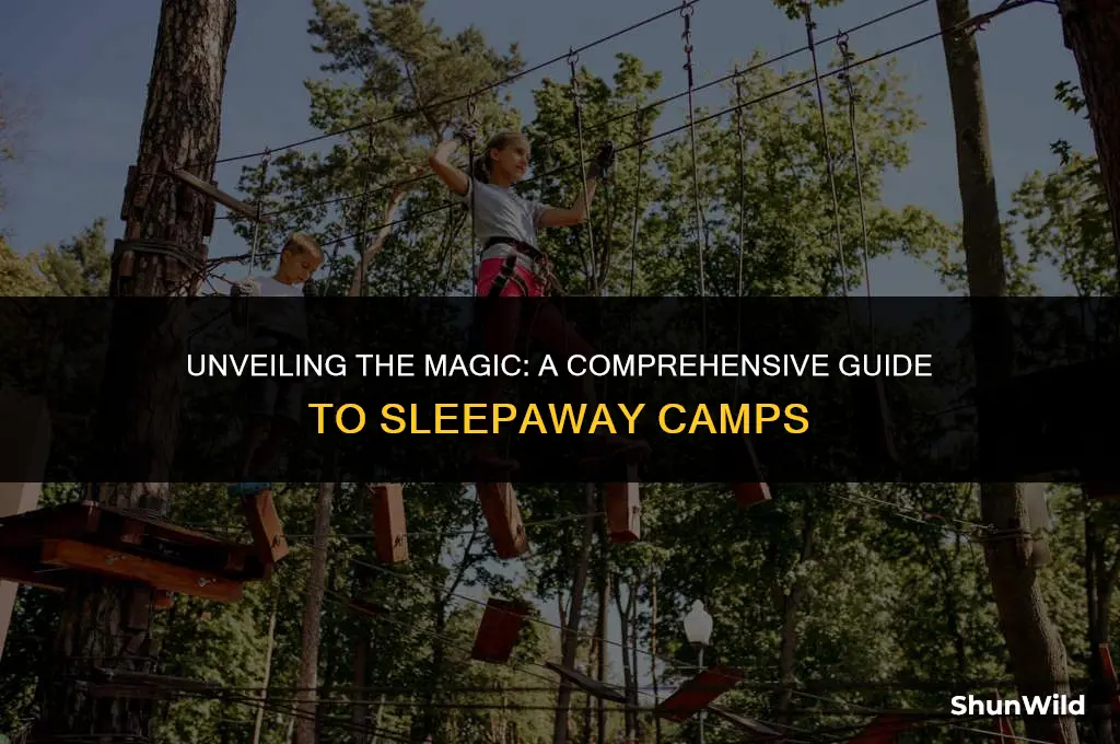 what is sleepaway camp about